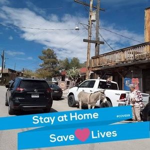 Meet your Posher, Karen